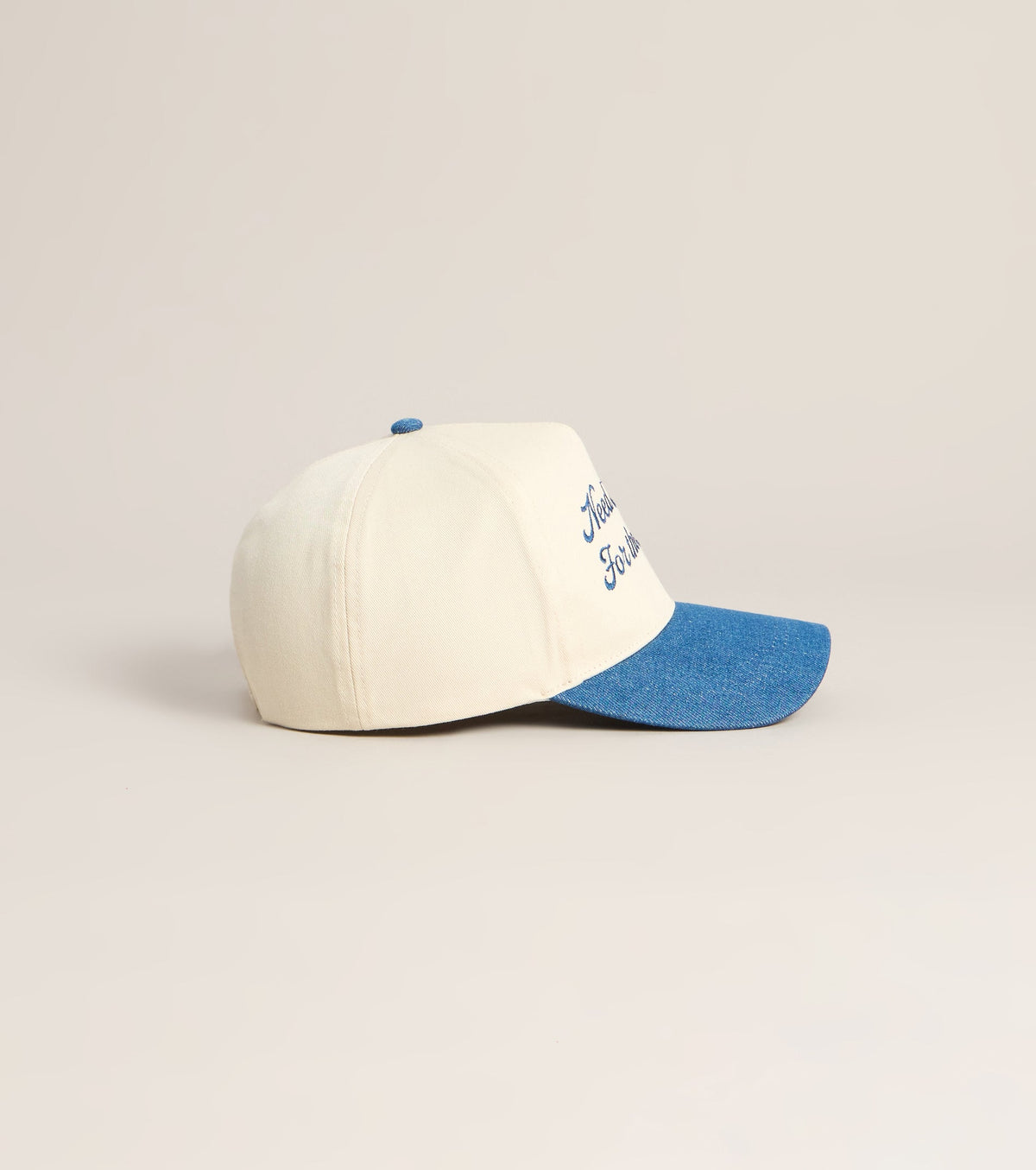 Need Money For The Rodeo Trucker Hat