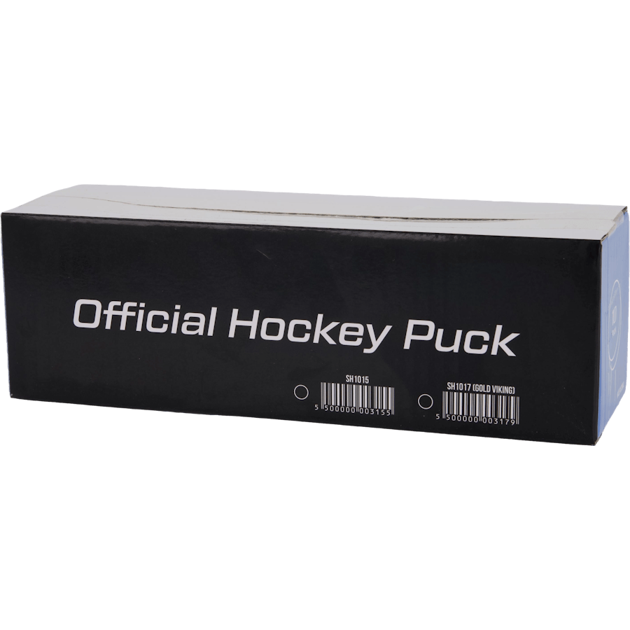 Hockey Puck 10 Pack